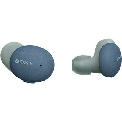 【楽天市場】ソニーグループ SONY 完全ワイヤレスイヤホン WF-H800(L) | 価格比較 - 商品価格ナビ